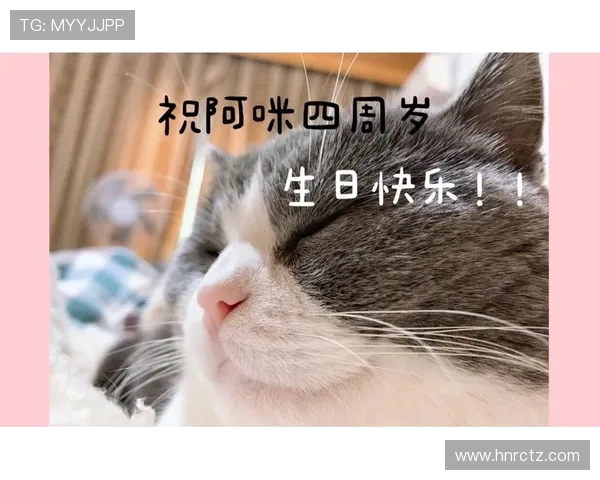 璐濅鸡甯冮瞾璧洓璧炲崱鍗氬凹涓庡焹鏂尝瑗挎墭锛氭満浼氭妸鎻′负骞磋交鐞冨憳鏍戠珛姒滄牱